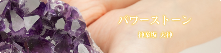 �p���[�X�g�[��